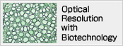 Optical Resolution with Biotechnology